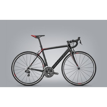 Focus Cayo Ultegra Di2 — vélo chez Veloland Nérac